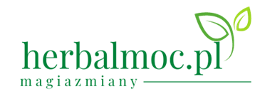 Shoper demo brak logo - strona główna